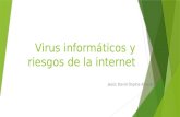 Virus informaticos y riesgos en la internet