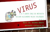 Diapositivas de virus y vacunas # wilson rojas