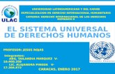 Presentacion sistema universal de derechos humanos ii