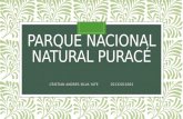 Parque nacional natural puracé