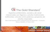 Primer Taller Gold Standard en Colombia:Aspectos ambientales, sociales y de salud. Por:  Ivan Hernandez