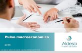 Pulso Macroeconómico - Julio 2016
