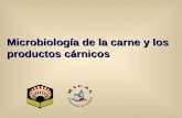 Microbiologia carnicos