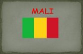 Mali cicle inicial2
