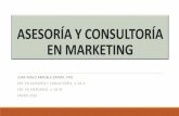 Asesoría y consultoría en marketing sesión 1