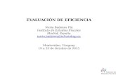 Evaluación de Eficiencia / Nuria Badenes Plá - Instituto de Estudios Fiscales (España)