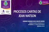 Procesos caritas de jean watson