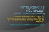 Intelixencias múltiples Howard Gardner_DOMUS