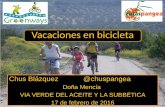 Producto turismo en bicicleta Doña Mencía Vía Verde del Aceite y la Subbética