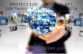 protección jurídica del softwore