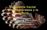 Carlos Reynoso - Geometria fractal en la ciencia y la cultura
