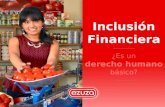 La Inclusión Financiera y la Promesa del Dinero Móvil