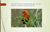 NUEVA GUIA DE AVES DE LA RESERVA NATURAL DE USO INTEGRAL Y MIXTO LAGUNA DE ROCHA