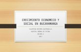 Crecimiento economico y social en bucaramanga