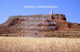 Erosión e desertización