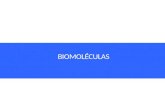 Biomoléculas carb, lip. prot, ac nuc