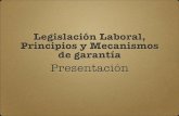 Principios mínimos fundamentales y generales de la legislación laboral