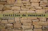 Haiman El Troudi Douwara: Castillos de Venezuela. II parte