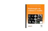 1441 actualización 2012_radiología_cabeza_y_cuello