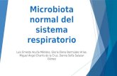 Microbiota normal del sistema respiratorio