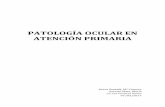 (2017-03-07) Patología ocular en Atención primaria (DOC)