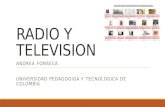 Radio y television