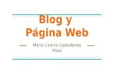 Blog y  página web