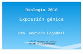 Tema 7 expresion genica, transcripcion y traduccion 2016