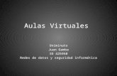 Aulas virtuales1