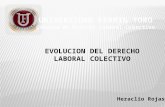 Evolucion del Derecho Laboral Colectivo 2017