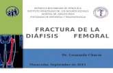 Fractura de diafisis femoral