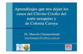 Ensenanzas de los casos de salame Colonia Caroya y Chivito criollo del Norte Neuquino  (spanish)