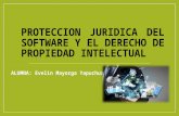 Protección jurídica del software y el derecho de propiedad intelectual