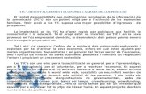 TIC's DESENVOLUPAMENT ECONÒMIC I XARXES DE COOPERACIÓ