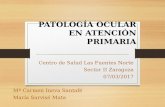 (2017-03-07) Patología ocular en Atención primaria (PPT)