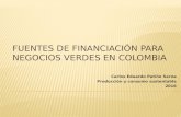 Fuentes de financiación para negocios verdes en colombia