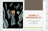 Tema 5 genes y herencia