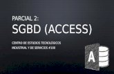 Access (introducción)