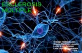Enfermidades neurodexenerativas: Esclerose múltiple