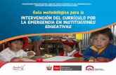 Guía metodológica-para-la-intervención-del-currículo-por-la-emergencia-en-instituciones-educativas