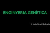 Enginyeria genetica