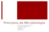 Curso de Microbiología - 01 - Principios de Microbiología