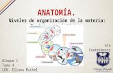 Niveles de organización de la materia: Orgánico y Sistémico.