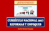 PARA TODOS LOS DOCENTES. Currículo Nacional 2017.