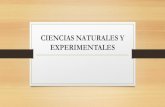 Academia ciencias naturales y experimentales