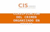 Clasificación del crimen organizado en México