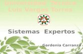 Gardenia carranza