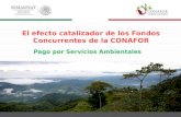 Enrique Serrano - El efecto catalizador de los fondos concurrentes de la CONAFOR