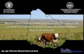 Resultados del proyecto sobre recuperación de praderas degradadas y sostenibilidad en sistemas pecuarios: Modelo Pampa Uruguay