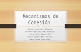 Mecanismos de-cohesión